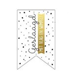 Stickers vaantje geslaagd met vlag en wimpel 10 stuks