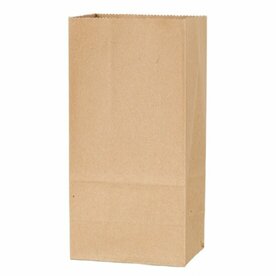 Kraft papier blokbodem zakjes 9 x 6 x 18 cm 10 stuks