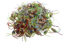 100 Chinese gelukspoppetjes 
