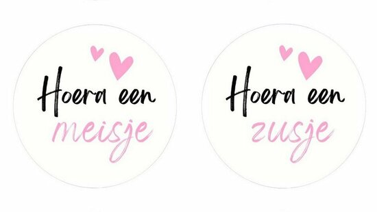 Geboortebedankjes roze papfles sticker