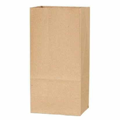 Kraft papier blokbodem zakjes 9 x 6 x 18 cm 10 stuks