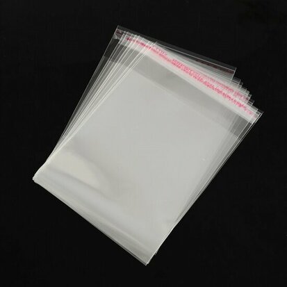 Cellofaan zakjes 15 x 21 cm 10 stuks