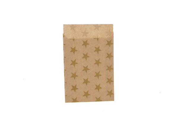 Kraft zakjes 7 x 9 cm goud ster print 10 stuks